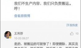 央视爆料王利芬视频全集,王利芬视频全集深度解析