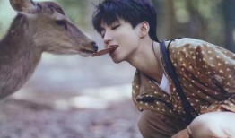 王俊凯圈内人爆料天涯,揭秘娱乐圈不为人知的真相