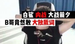 听b哥爆料白鲨视频,揭秘背后故事与精彩瞬间