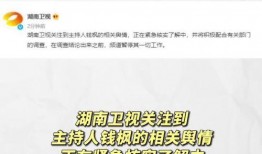 娱乐吃瓜经纪公司,吃瓜群众背后的经纪公司风云录