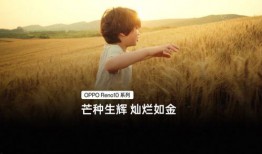 老王新片爆料视频,揭秘神秘剧情，带你领略视觉盛宴