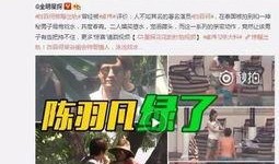 甜枣哥前妻爆料视频,揭秘婚姻背后的惊人真相