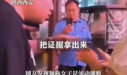 城管视频爆料大全下载,揭秘城市管理与民生问题的真实面貌